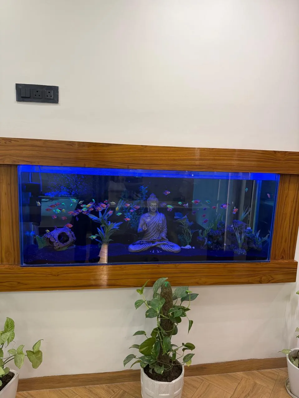 Backlit feature aquarium with Buddha statue creating a calming atmosphere at Poly Dental Clinic Mohali