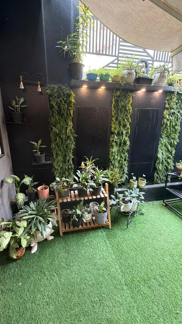 Green terrace garden with living plant wall at Poly Dental Clinic Mohali